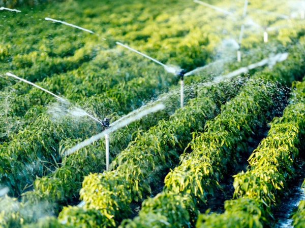 節(jié)水灌溉的是如何實(shí)現(xiàn)的？